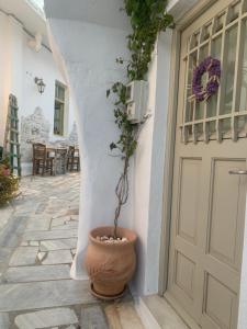 een plant in een pot naast een deur bij Campus del villaggio in Kámbos