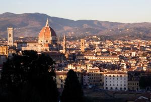 a view of a city with a mosque and buildings at Hotel Balestri - WTB Hotels in Florence