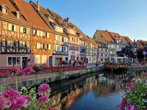 a group of buildings next to a river with flowers at Home La Petite Porte - Petite Venise - Colmar in Colmar