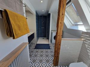 an attic bathroom with a shower and a toilet at Home La Petite Porte - Petite Venise - Colmar in Colmar