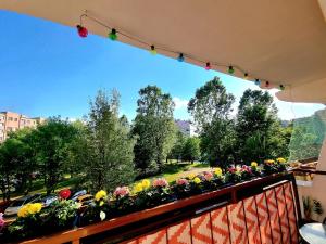 Balkón alebo terasa v ubytovaní Apartament Luxusowe Karkonosze
