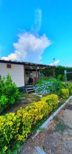 a house with a bunch of flowers in front of it at AGRICAMPING STONE VESUVIO in Ercolano