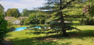 Gallery image of Gîte du Tilleul 6 pers - Au Clos de Parranquet in Parranquet