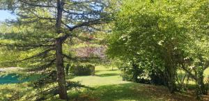 Gallery image of Gîte du Tilleul 6 pers - Au Clos de Parranquet in Parranquet