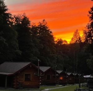 zachód słońca nad drewnianym domkiem w lesie w obiekcie Dům a Dům Živohošť w mieście Žiwohoscht