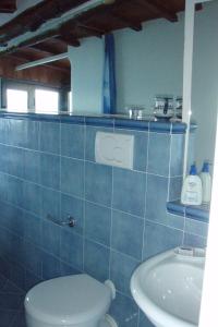 Baño de azulejos azules con aseo y lavamanos en La Casetta di Marmorata - Ravello Accommodation, en Ravello