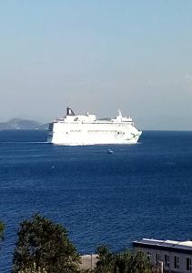 a large white cruise ship in the ocean at Yasin Apart hotel in Istanbul