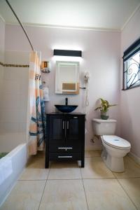 a bathroom with a sink and a toilet and a mirror at Nickels Garden Villas in Montego Bay