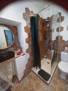 e bagno con doccia, servizi igienici e specchio. di Chambre d'hôte Au Jardin Le clos des vins d'Anges a Saint-Pierre-des-Champs
