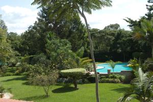 a garden with a swimming pool and a palm tree at House of Waine in Nairobi