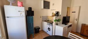 ラ・ロシェルにあるStudio Centre Ville pratique et cosyのキッチン(冷蔵庫、洗濯機付)