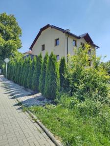 a row of hedges in front of a house at Pozlovice225 in Pozlovice