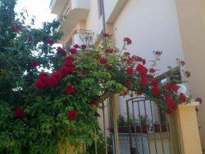 a gate with red flowers on a building at Kostovi Primorsko in Primorsko