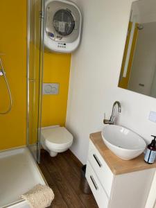 een badkamer met een wastafel, een douche en een toilet bij EcoRelax in Błotnik