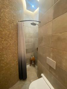 ein Bad mit einer Dusche, einem WC und einem Waschbecken in der Unterkunft Kores of Poros in Poros