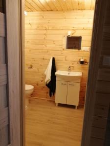a bathroom with a sink and a toilet at Domki w brzozach in Brajniki +65 photos