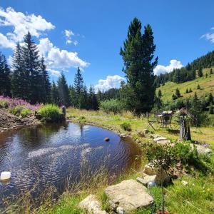 Der Swimmingpool an oder in der Nähe von Bruckerhütte