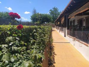 einen Garten mit roten Blumen und einem Zaun in der Unterkunft Casa Rural Alamillo in Luque