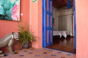 Fotografie z fotogalerie ubytování Gran Barrio v destinaci San Cristóbal de Las Casas