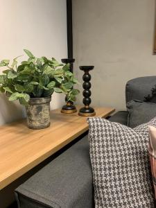 Galeriebild der Unterkunft Studio aconchegante em Barra Mansa in Barra Mansa