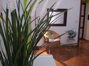 Posedenie v ubytovaní Coqueto miniapartamento junto centro Torremolinos