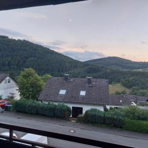 ein Dach eines Hauses mit einem Berg im Hintergrund in der Unterkunft Ferienwohnung See & Bergblick in Winterberg + 2 Fotos