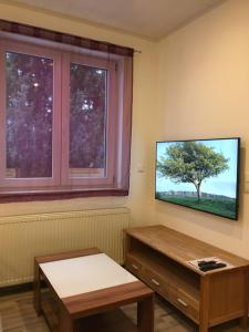 TV/Unterhaltungsangebot in der Unterkunft Monteurzimmer mit Singleküche