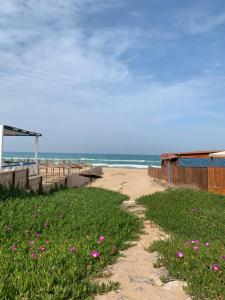 薩伊迪耶的住宿－maison du bonheur en bord de mer avec piscine，一片沙质的沙滩,在草地上种着粉红色的花朵