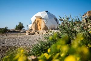 a dome tent in a field with flowers at Desert Shade camp חוות צל מדבר in Mitzpe Ramon