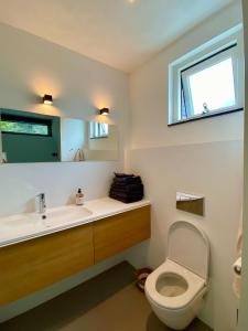 een badkamer met een toilet, een wastafel en een raam bij Heerlijk vrijstaand huis aan de duinen in Burgh Haamstede