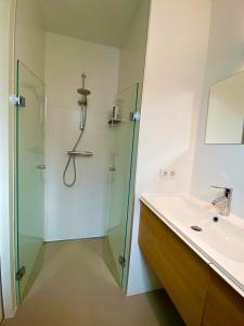 a bathroom with a shower and a sink at Heerlijk vrijstaand huis aan de duinen in Burgh Haamstede