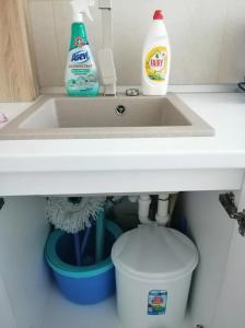 a sink with two bottles and a bucket under it at Apartament Delora View in Bumbeşti-Jiu