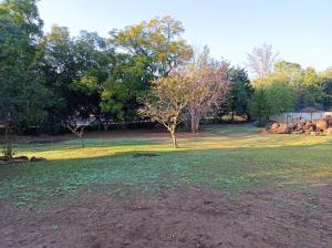 ein Grasfeld mit Bäumen im Hintergrund in der Unterkunft Danodeb Lodge in Pietermaritzburg