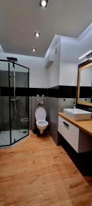 uma casa de banho com um chuveiro, um WC e um lavatório. em Apartament Sołtysia Góra em Jelenia Góra