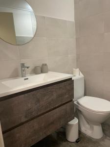 een badkamer met een wastafel, een toilet en een spiegel bij Schrijvershuisje - sfeer & stilte Zeeuws Vlaanderen in Zaamslag
