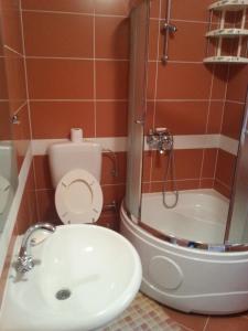 ein Bad mit einem WC, einer Dusche und einem Waschbecken in der Unterkunft Sarajevo gardens in Sarajevo