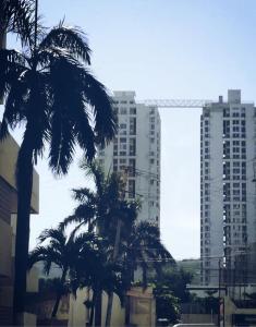 un grupo de palmeras frente a edificios altos en lovely 2 bedroom Apartment with pool and gym, en Cartagena de Indias
