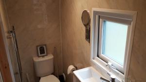 un bagno con un water, un lavandino e una finestra di Hornbeam Eco Cabin - Sleeps 2 - Valley View a Launceston Altre 15 foto