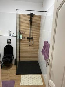 a shower with a glass door in a bathroom at Apartament Gabriela 39 in Baia Mare