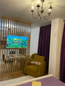 a living room with a tv and a chair at Apartament Gabriela 39 in Baia Mare