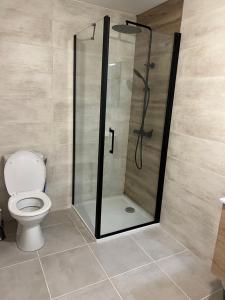 een badkamer met een douche en een toilet bij Studio cartel in Le Bosc