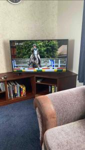 una sala de estar con TV con un caballo. en Big Anthony’s, en Greencastle