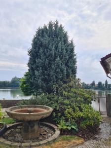 Fotografie z fotogalerie ubytování Penzion Hana v Jindřichově Hradci