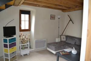 Una sala de estar con un sofá y un televisor. en Gite rural au calme en Cévennes Gardoises, en Saint-Jean-du-Gard