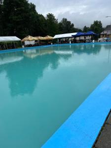 una grande piscina con acqua blu e ombrelloni di Apartmán Na Horách a Zlatá Olešnice