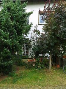 a house with a tree in front of it at Ferien-Messe-Handwerker- Apartment Bensberg in Bergisch Gladbach