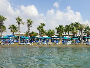 a beach with chairs and umbrellas and palm trees at PylaApts - Apartments near the beach in Pyla