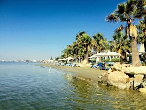 a beach with palm trees and chairs and the water at PylaApts - Apartments near the beach in Pyla