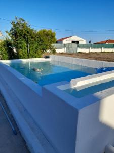 a swimming pool with a duck in the water at Moradia de férias Casa do Chorão - Montargil in Montargil