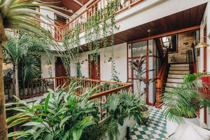 Amarla Boutique Hotel Casco Viejo في مدينة باناما: ساحة بها نباتات ودرج في مبنى